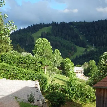 Apartment Au Grenier Du Lac *